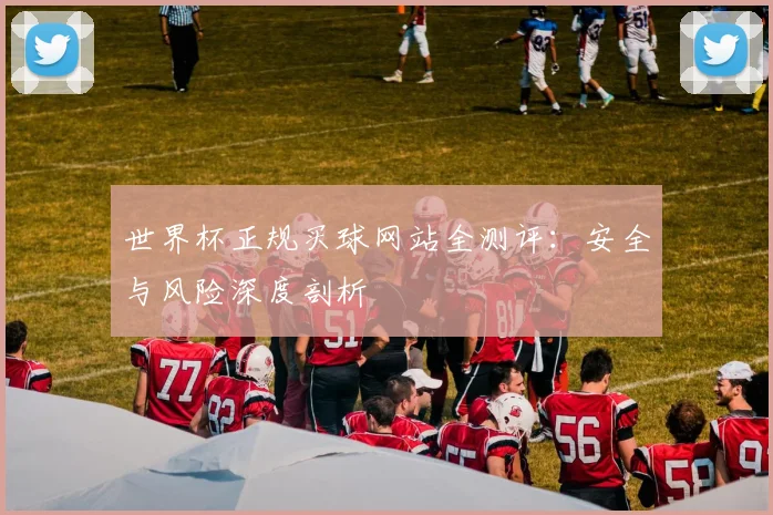 世界杯正规买球网站全测评：安全与风险深度剖析