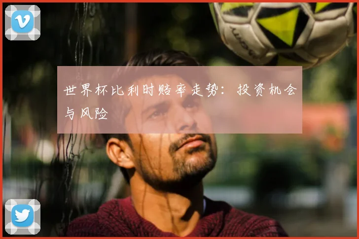 世界杯比利时赔率走势：投资机会与风险